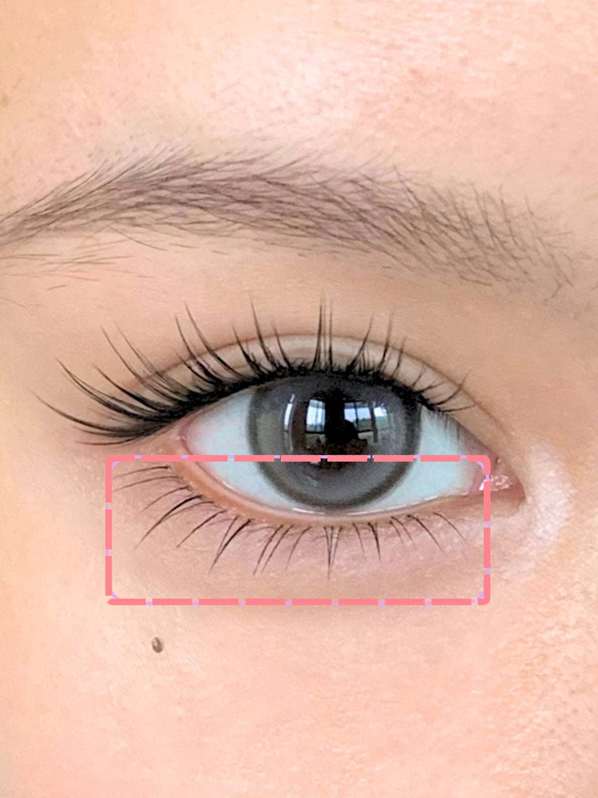 Teardrop (Lower)