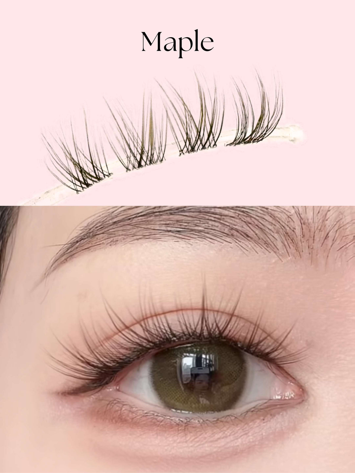 Maple Brown